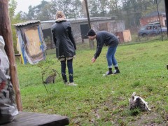 Photo7