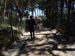 DSCN3471