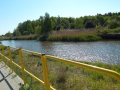 DSCN3487