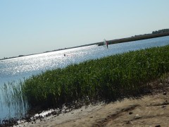 DSCN3528