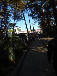 DSCN3534