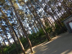 DSCN3535