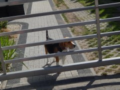 DSCN3544