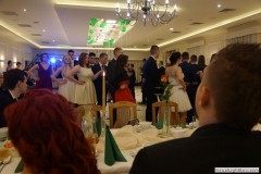 0043dsc06337