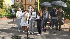 image6 image6