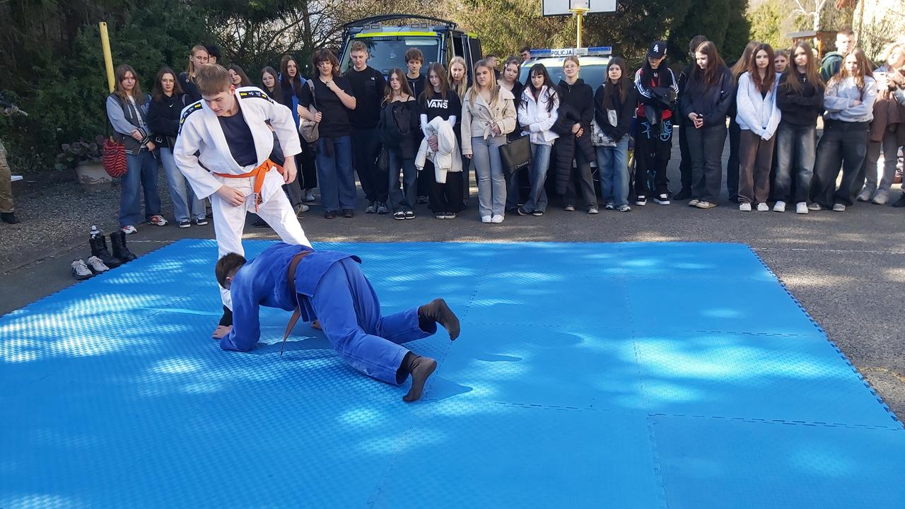 pokaz judo